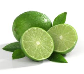 Citrus aurantifolia (Lime)